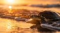 Sea turtle on the shore at sunset with glistening ocean water Royalty Free Stock Photo