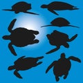 Sea Turtle Poses Silhouettes Vector Illustration