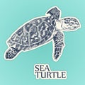 Sea turtle sticker vector. hand drawn illustration Royalty Free Stock Photo