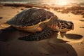 sea turtle sunning on warm beach, its shell shining in the sunlight