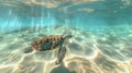 The sea turtle swimming.AI generated image Royalty Free Stock Photo