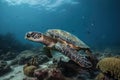 sea turtle swimming amongst scuba divers and snorkelers Royalty Free Stock Photo