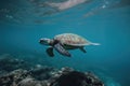 sea turtle swimming amongst scuba divers and snorkelers Royalty Free Stock Photo