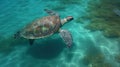 a green turtle swimming in the ocean. Generative Ai Royalty Free Stock Photo