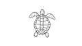 Sea Turtle Swimming Drawing 2D Animation