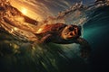 Sea Turtle swimming Royalty Free Stock Photo