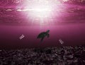 Sea turtle swimming in the ocean with trash all around Royalty Free Stock Photo