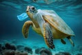 Sea turtle swimming with plastic bag. Underwater animals harm made by garbage in water. Tortoise stuck in plastic bag, ecological Royalty Free Stock Photo