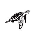 Sea turtle swimming silhouette Royalty Free Stock Photo