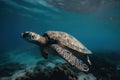 sea turtle swimming underwater, its sleek and powerful body gliding through the water