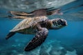 sea turtle swimming underwater, its sleek and powerful body gliding through the water