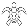 Sea turtle thin line icon, ocean animals concept, tortoise sign on white background, Turtle silhouette icon in outline