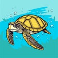 Sea Turtle Turquoise Oceanlife Cartoon Vector Art Royalty Free Stock Photo