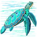 Sea Turtle Turquoise Oceanlife Vector Art