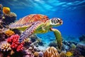 Sea turtle under the sea with corals.