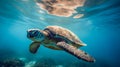Sea turtle underwater, blue clear water, sun's rays make their way through water. Underwater world. Sea inhabitants Royalty Free Stock Photo