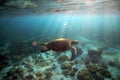 Sea turtle underwater Royalty Free Stock Photo