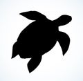 Sea turtle. Vector drawing icon Royalty Free Stock Photo