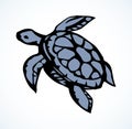 Sea turtle. Vector drawing icon Royalty Free Stock Photo