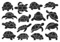 Sea turtle vector illustration on white background .Tortoise of animal vector black set icon. Isolated black set icon Royalty Free Stock Photo