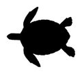 Sea turtle vector silhouette Royalty Free Stock Photo