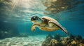 sea turtle in the water. clear water.Generative AI Royalty Free Stock Photo