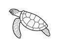 Sea turtle. Wildlife animal concept.