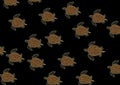 Sea turtles background