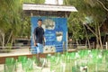 Sea turtles eggs baby nursery conservation project