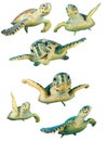 Sea turtles isolated Royalty Free Stock Photo