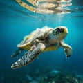 Sea turtles,majestic creatures the ocean, navigate through their habitat,but their serene journey is marred the heartbreaking