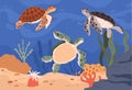 Sea turtles in ocean habitat. Vector illustration Royalty Free Stock Photo