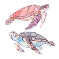 Sea turtles. Ocean vector.