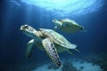 Sea turtles swimming underwater, deep blue sea AI generated Royalty Free Stock Photo