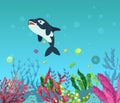 Sea underwater marine background with killer whale . Marine sea bottom with aqua plants, coral reef underwater seaweed plants, Royalty Free Stock Photo