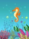 Sea underwater marine background with seahorse. Marine sea bottom with aqua plants, coral reef underwater seaweed plants, ocean Royalty Free Stock Photo