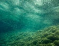 sea underwater scene background Royalty Free Stock Photo