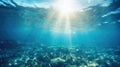 Sea underwater view with sun light. Beauty nature background Royalty Free Stock Photo