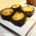 sea urchin caviar in champagne on a white plate in a restaurant.