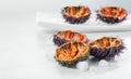 Sea Urchin with caviar close-up, on gray background. Fresh open sea urchins on a plate