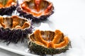 Sea Urchin with caviar close-up, on white background. Fresh open sea urchins on a plate