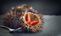 Sea Urchin closeup. Fresh sea urchins delicatessen food. Mediterranean food