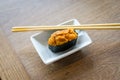 Sea urchin eggs sushi.Japanese food