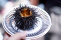 Sea urchin fresh uni Japanese fresh raw food in the shell at f Royalty Free Stock Photo