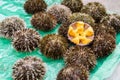 Sea urchin fresh uni Japanese fresh raw food in the shell at f