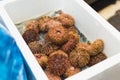 Sea Urchin or Japanese Uni sale in Osaka food market in Japan