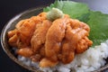 Sea urchin rice bowl