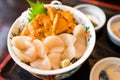 Sea urchin and scallop rice bowl Royalty Free Stock Photo