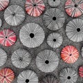 Sea urchin shells in black, white and red, filtered image background. Summer is coming. Royalty Free Stock Photo