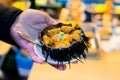 Sea urchin uni best food in japan Royalty Free Stock Photo